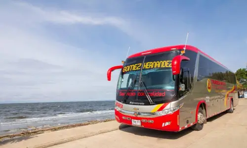 Vehículo o identidad visual de TRANSPORTES GÓMEZ HERNÁNDEZ